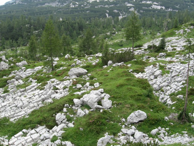 Pohod na Triglav(Vrata-Triglav-Trigl. jezera- - foto