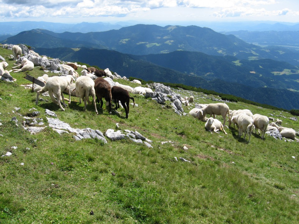 Koča na Loki-Raduha-Planina Arta (26.7.09) - foto povečava