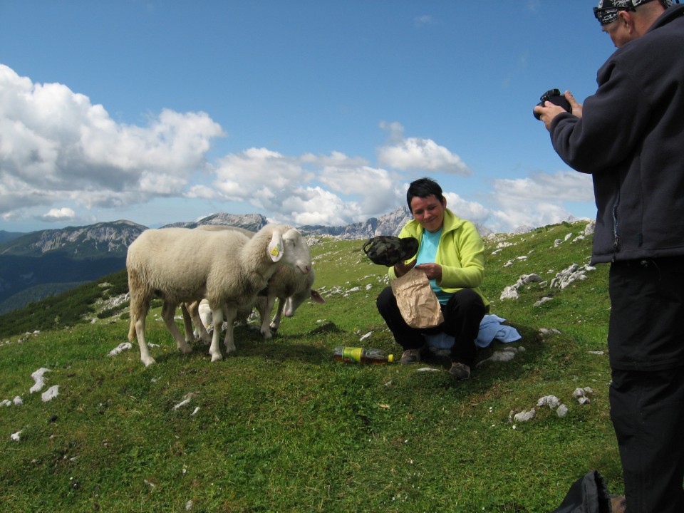 Koča na Loki-Raduha-Planina Arta (26.7.09) - foto povečava