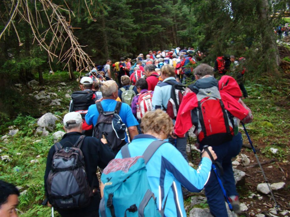 Rupe-Blejska koča-Debela peč-Brda-Pokljuka-30 - foto povečava