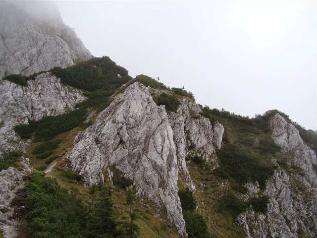 Dom pod Storžičem-Žrelo-Storžič-Škarjev rob-2 - foto