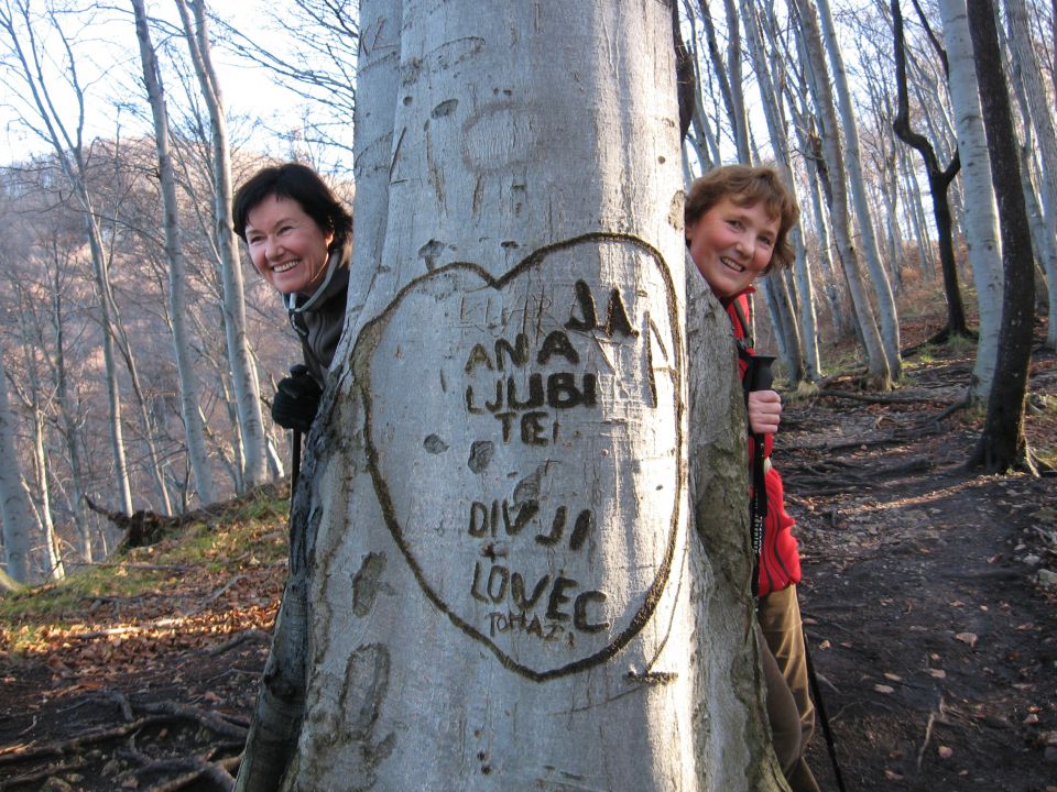 Poljčane-Boč-Dolga gora(Zupi)-26.12.09 - foto povečava