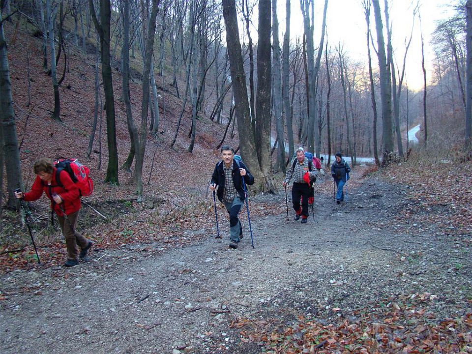 Poljčane-Boč-Dolga gora(Zupi)-26.12.09 - foto povečava