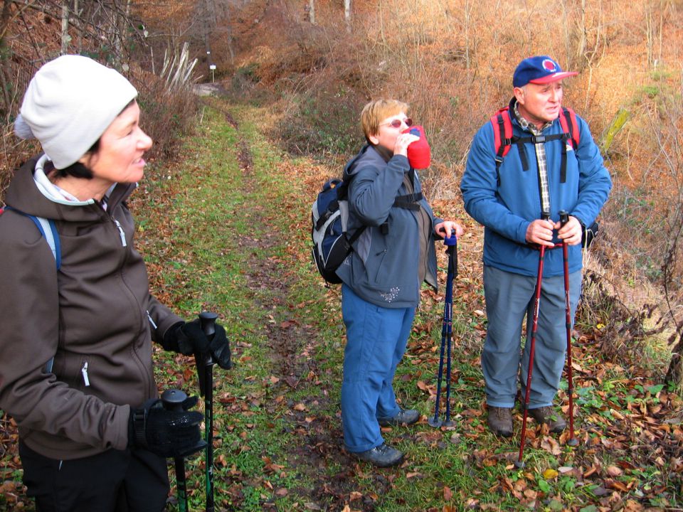 Poljčane-Boč-Dolga gora(Zupi)-26.12.09 - foto povečava