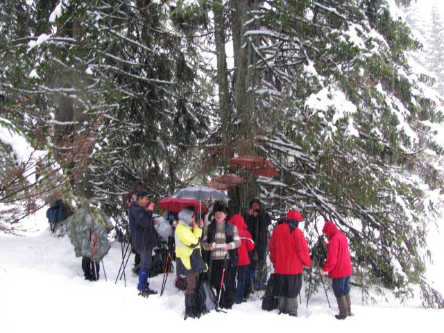 Rogla-Pesek-Osankarica-Kot/Zreče9.1.2010 - foto