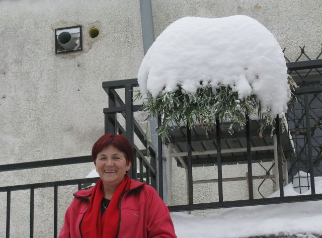 Šoštanj-Gora Oljka-Vimperk-Polzela16.1.10 - foto