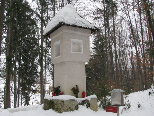 Šoštanj-Gora Oljka-Vimperk-Polzela16.1.10 - foto