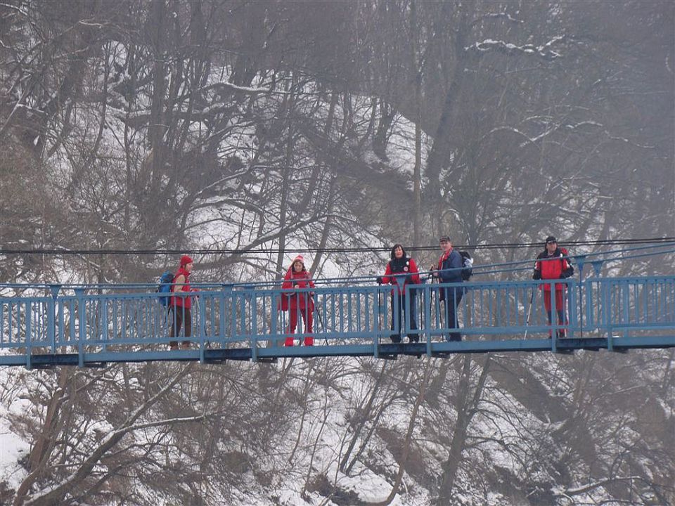 Celje-Brnica-Šmohor-Laško-30.1.2010 - foto povečava