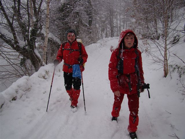 Celje-Brnica-Šmohor-Laško-30.1.2010 - foto