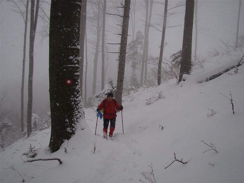 Celje-Brnica-Šmohor-Laško-30.1.2010 - foto povečava