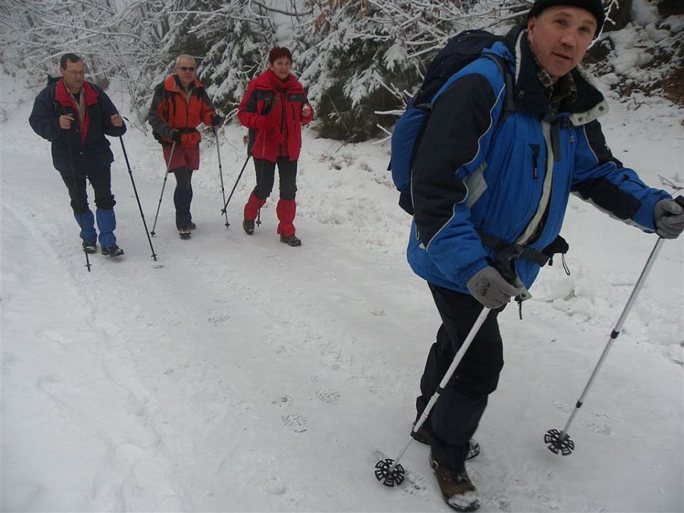 Žekovec-Mozirska koča(Golte)-7.2.2010 - foto povečava