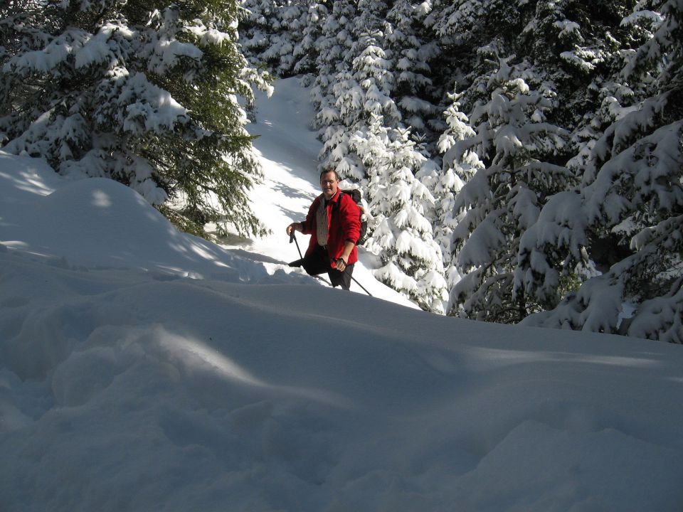 Žekovec-Mozirska koča(Golte)-7.2.2010 - foto povečava