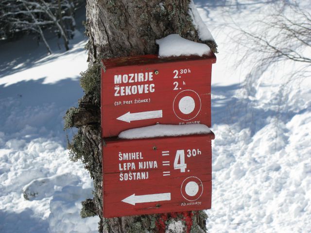 Žekovec-Mozirska koča(Golte)-7.2.2010 - foto