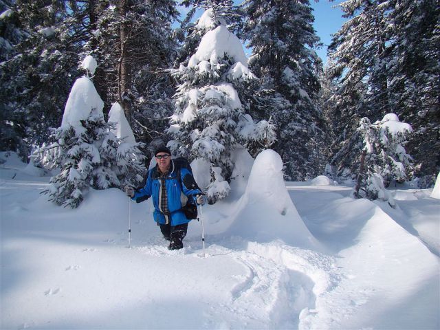 Žekovec-Mozirska koča(Golte)-7.2.2010 - foto