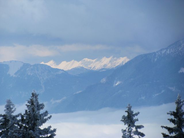 Žekovec-Mozirska koča(Golte)-7.2.2010 - foto