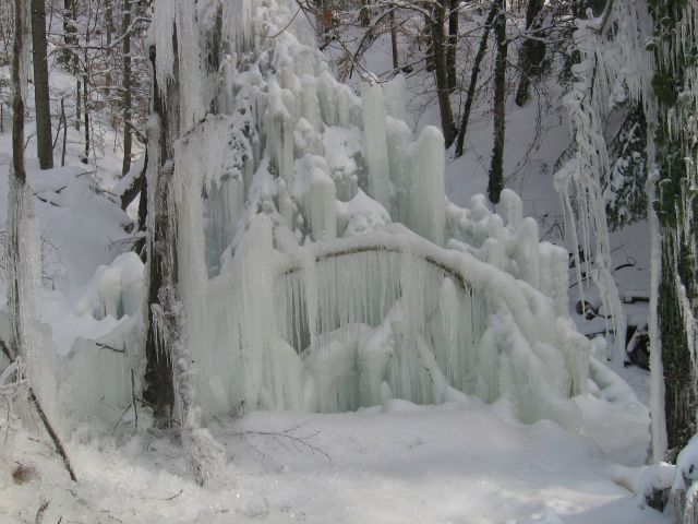 Dramlje-Žička kartuzija-Uršula-13.2.2010 - foto