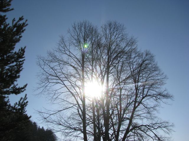 Vinska gora-Ramšak-Paški Kozjak-21.2.2010 - foto