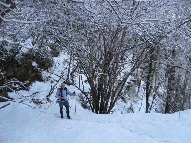 Vinska gora-Ramšak-Paški Kozjak-21.2.2010 - foto