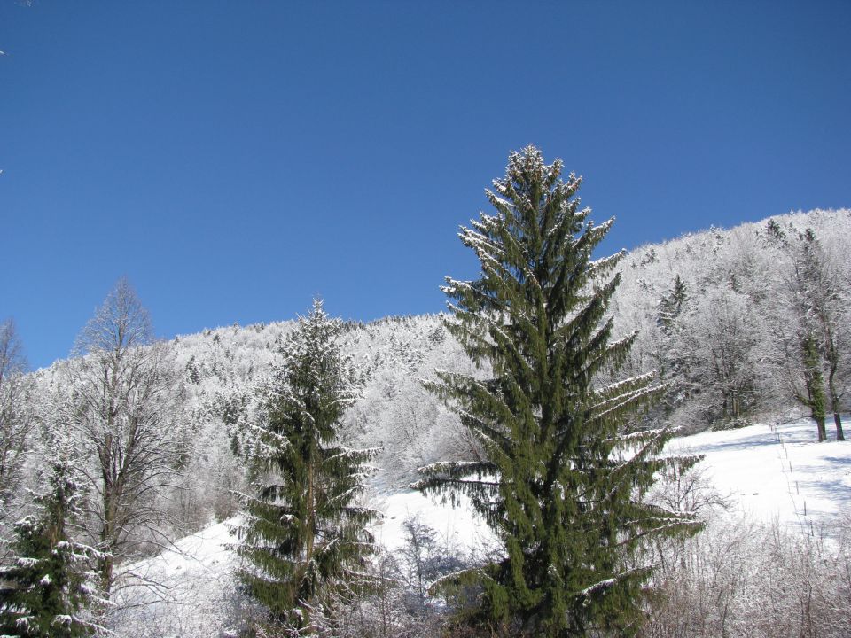 Vinska gora-Ramšak-Paški Kozjak-21.2.2010 - foto povečava