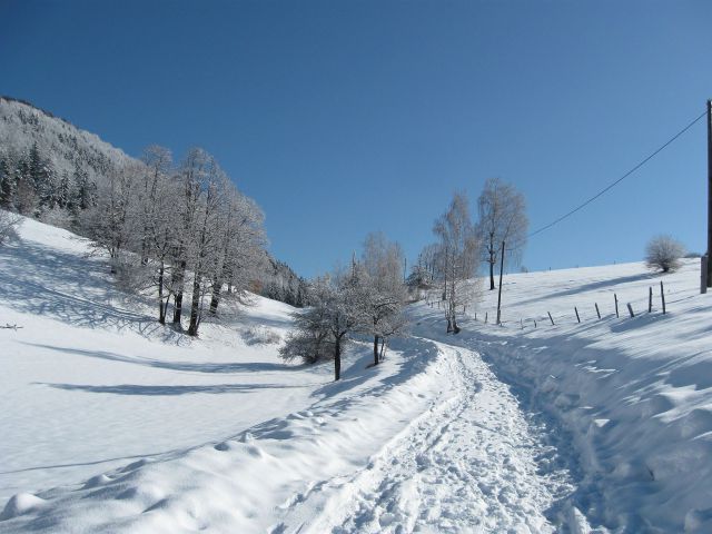 Vinska gora-Ramšak-Paški Kozjak-21.2.2010 - foto