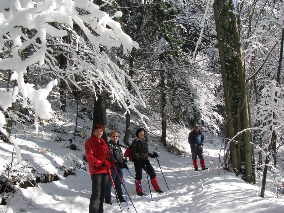 Vinska gora-Ramšak-Paški Kozjak-21.2.2010 - foto povečava