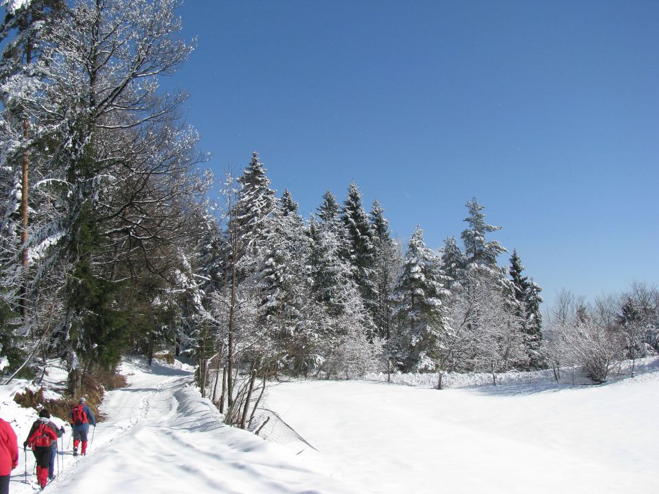 Vinska gora-Ramšak-Paški Kozjak-21.2.2010 - foto povečava