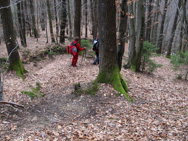 Jevnica-Sv.miklavž-Geoss-Kresnice-28.2.10 - foto