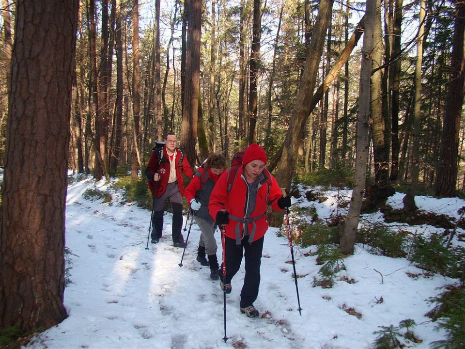 Krašnja-Limbarska gora-Trojane-14.3.2010 - foto povečava