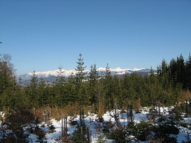 Krašnja-Limbarska gora-Trojane-14.3.2010 - foto