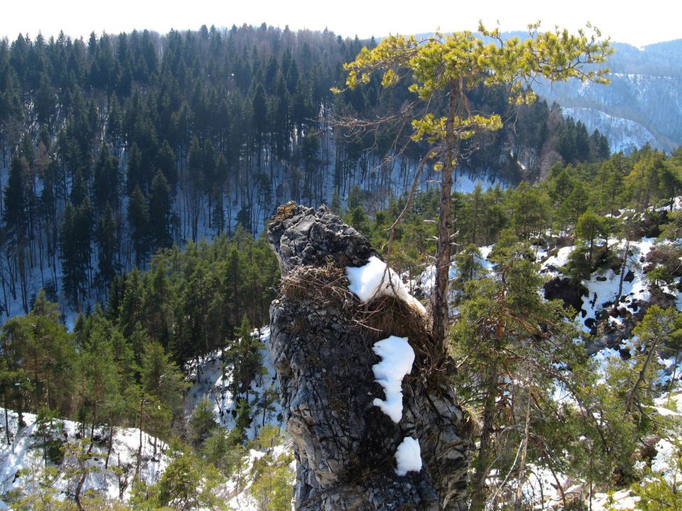 Krašnja-Limbarska gora-Trojane-14.3.2010 - foto povečava