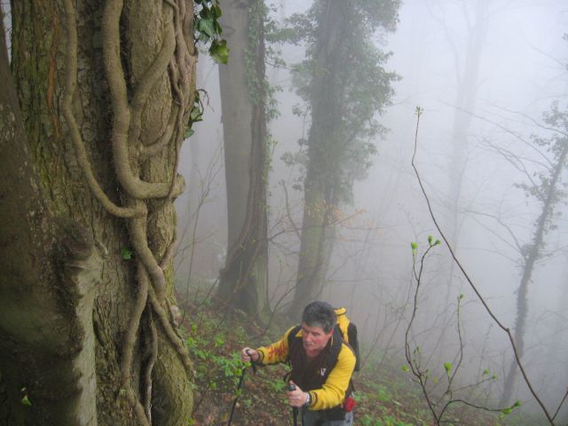 Trbovlje-Čebulj.dolina-Kum-Hrastnik-11.4.2010 - foto