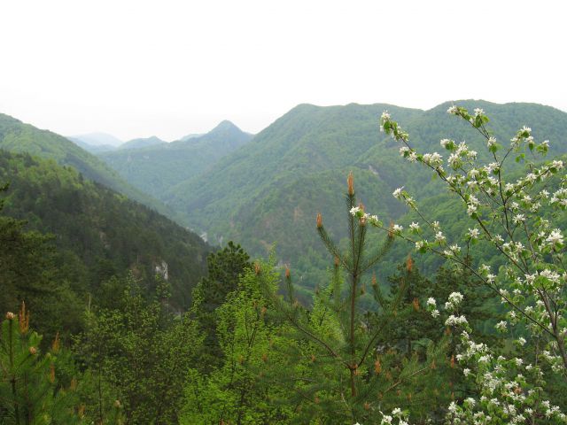 Sava-Tirna-Zasav.Sv.gora-Zagorje-2.5.2010 - foto