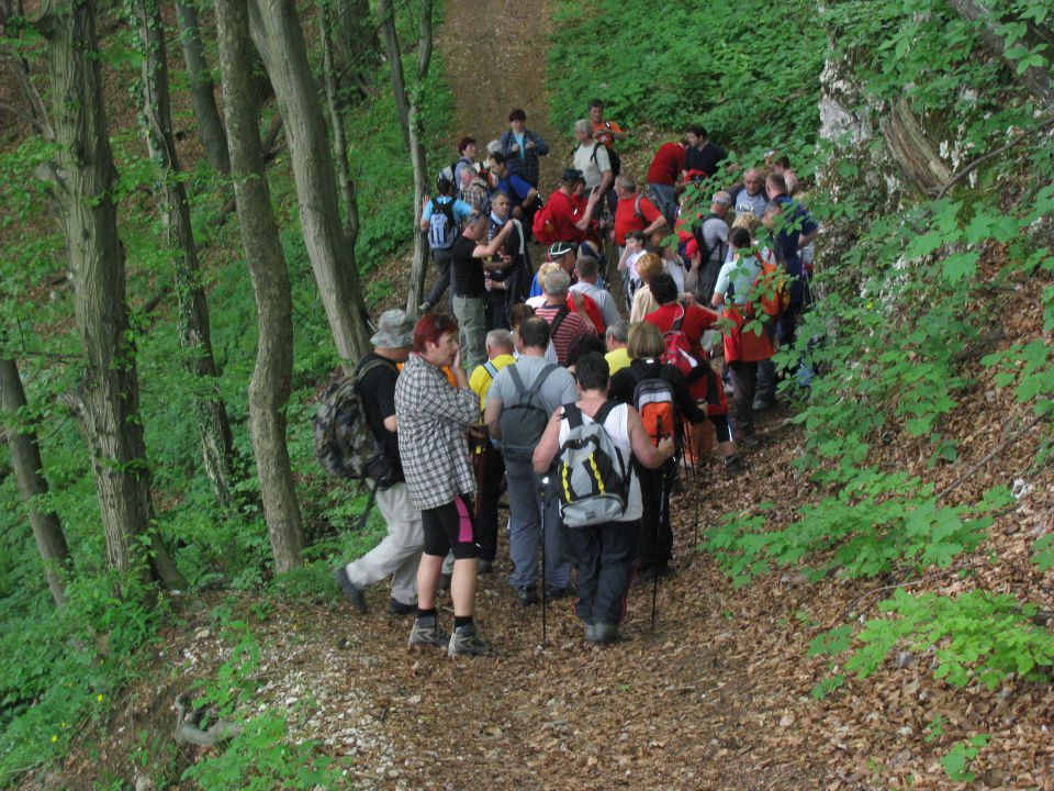 Štore-Svetina-Svetli dol-Žlajfa-8.5.2010 - foto povečava