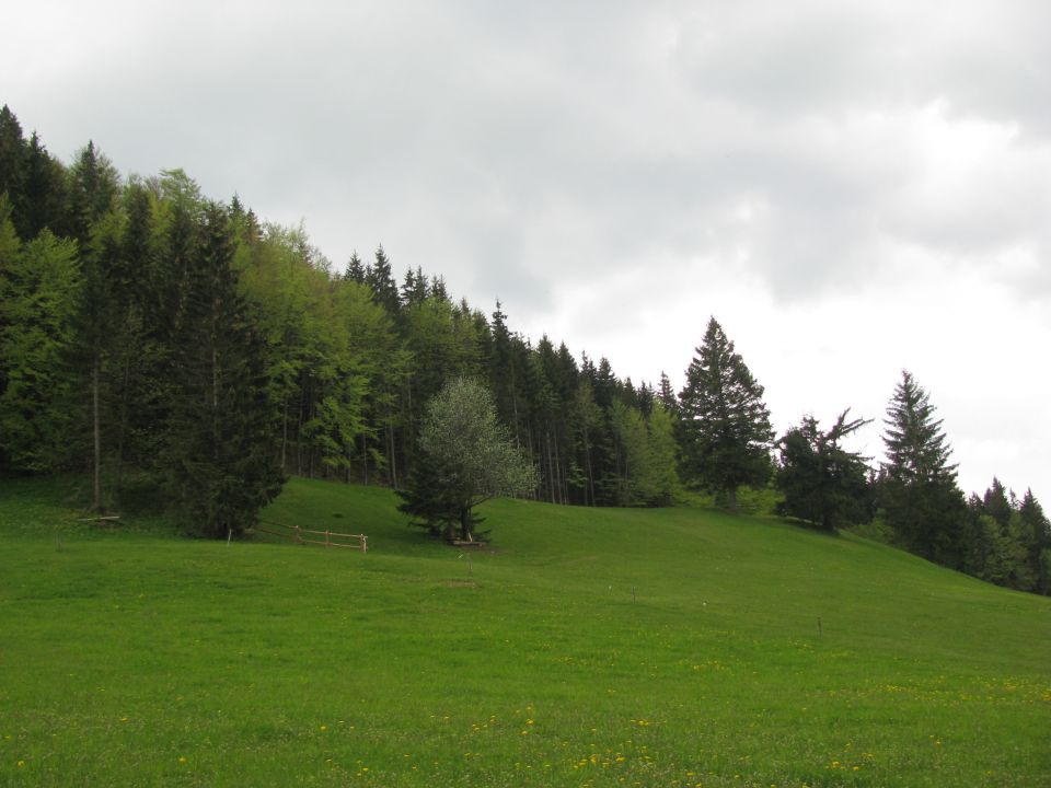 Brezen-Basališče-Koča-Sv.Jošt-23.5.10 - foto povečava