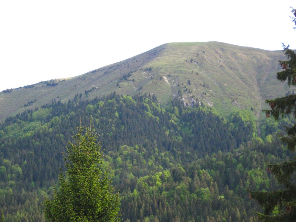 Planina pod Golico-Struška-29.5.2010 - foto povečava