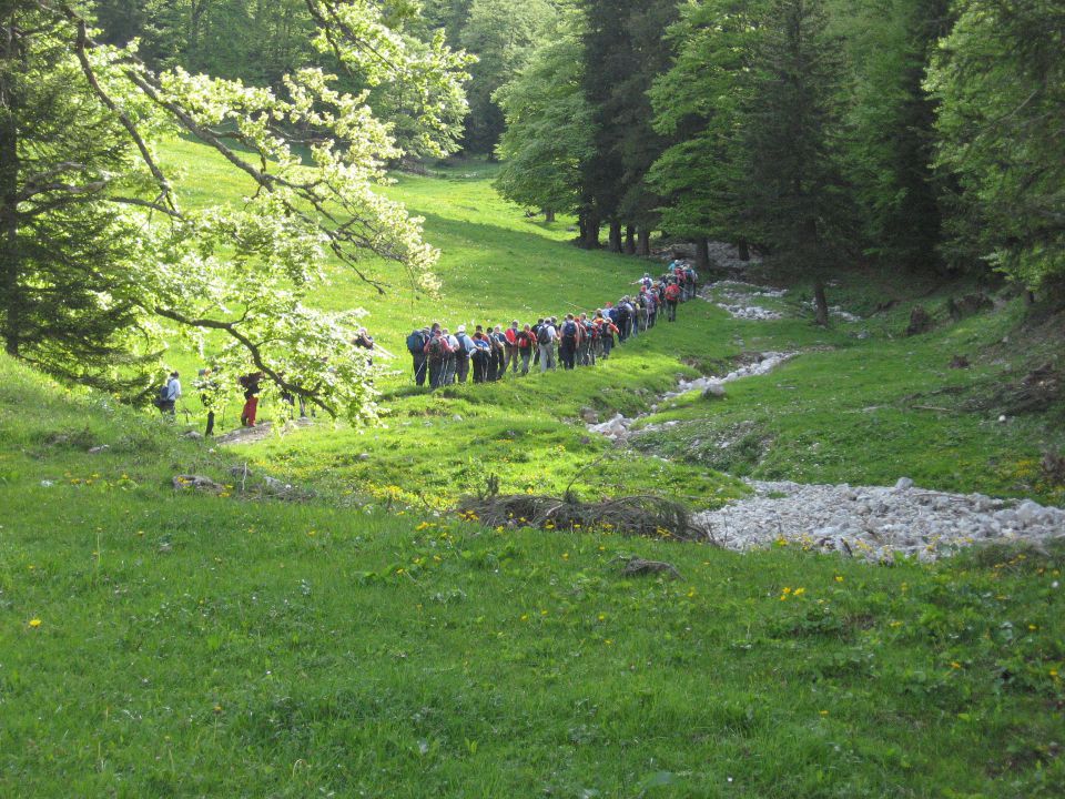 Planina pod Golico-Struška-29.5.2010 - foto povečava