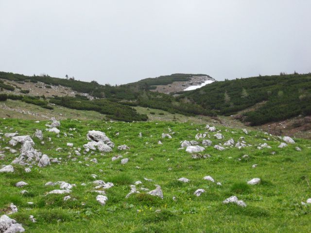 Planina pod Golico-Struška-29.5.2010 - foto