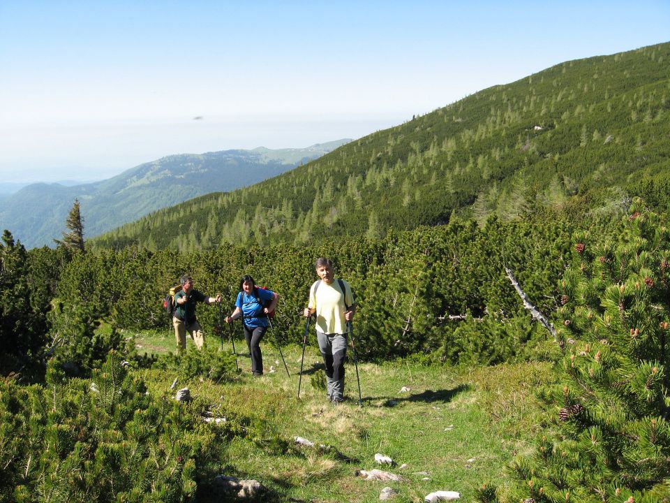 Planina Ravne-Ojstrica-Korošica-6.6.2010 - foto povečava