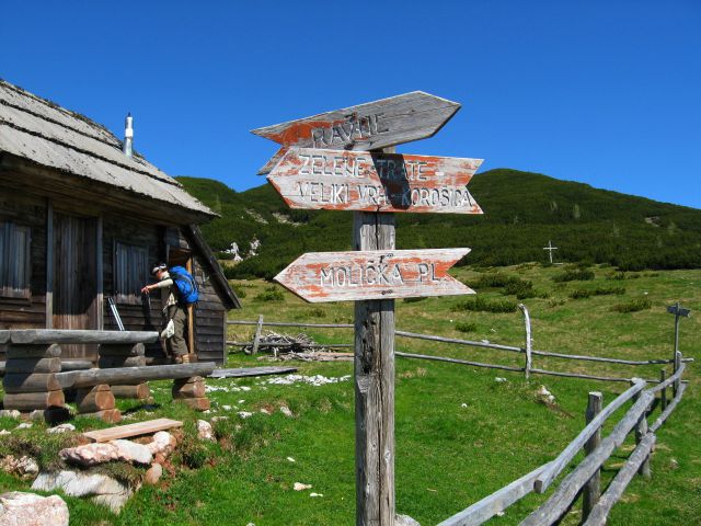 Planina Ravne-Ojstrica-Korošica-6.6.2010 - foto