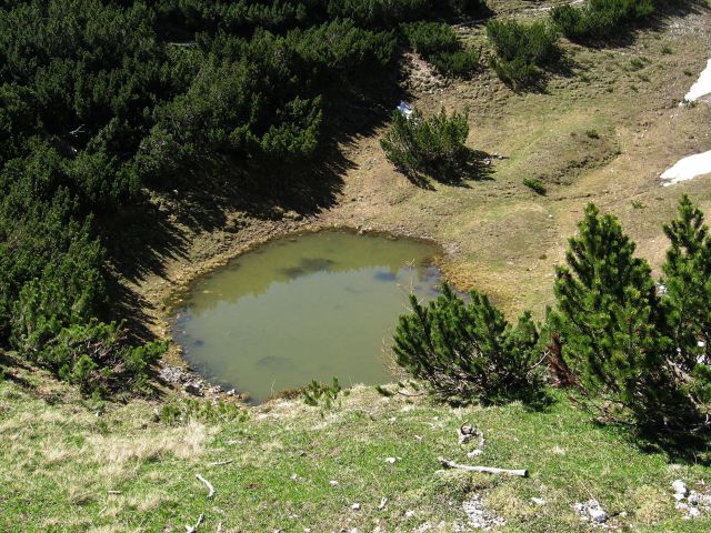 Planina Ravne-Ojstrica-Korošica-6.6.2010 - foto