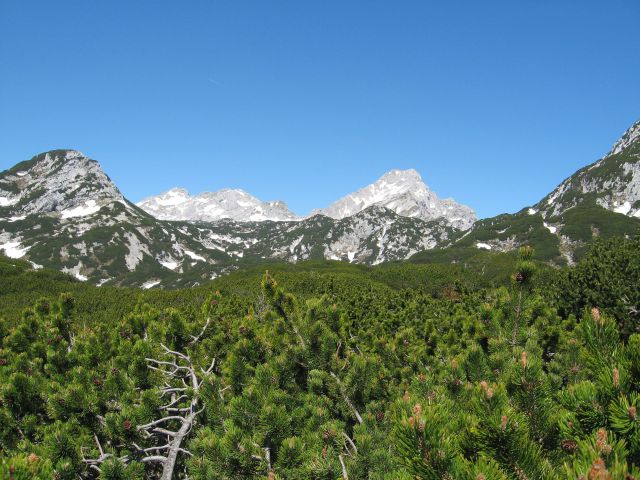 Planina Ravne-Ojstrica-Korošica-6.6.2010 - foto