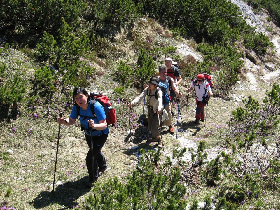 Planina Ravne-Ojstrica-Korošica-6.6.2010 - foto povečava