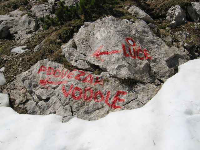 Planina Ravne-Ojstrica-Korošica-6.6.2010 - foto