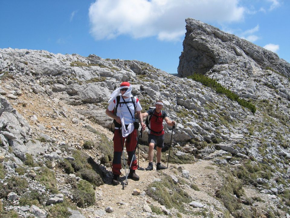 Planina Ravne-Ojstrica-Korošica-6.6.2010 - foto povečava