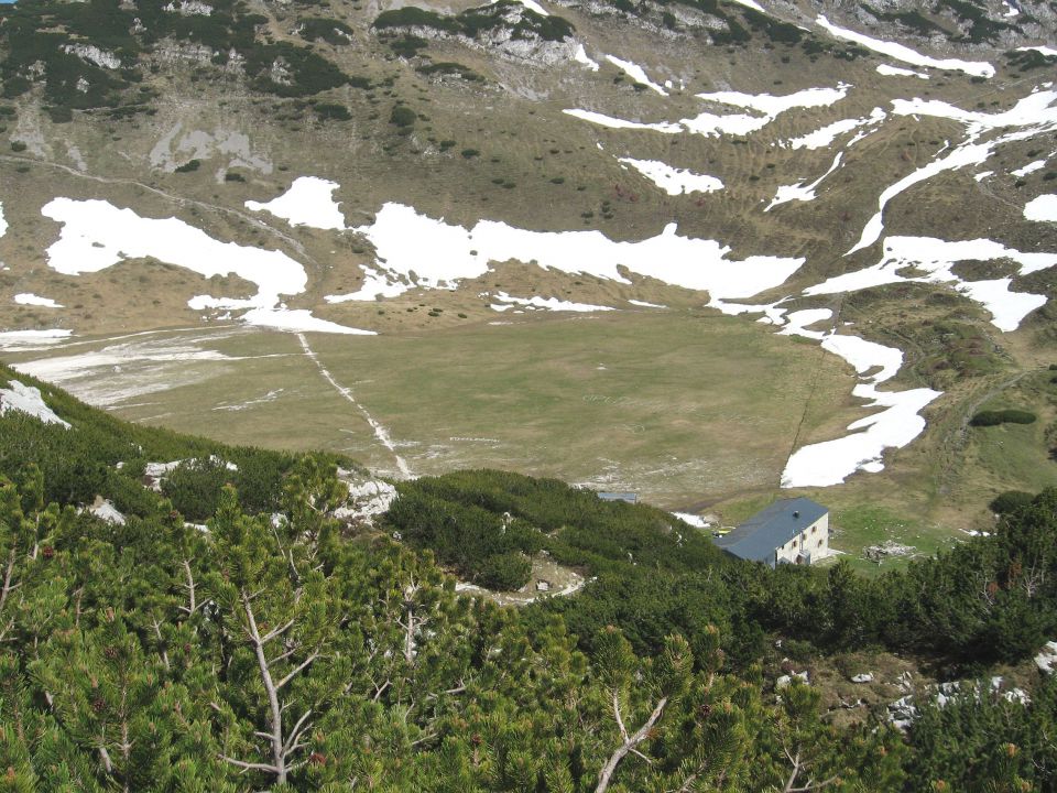 Planina Ravne-Ojstrica-Korošica-6.6.2010 - foto povečava