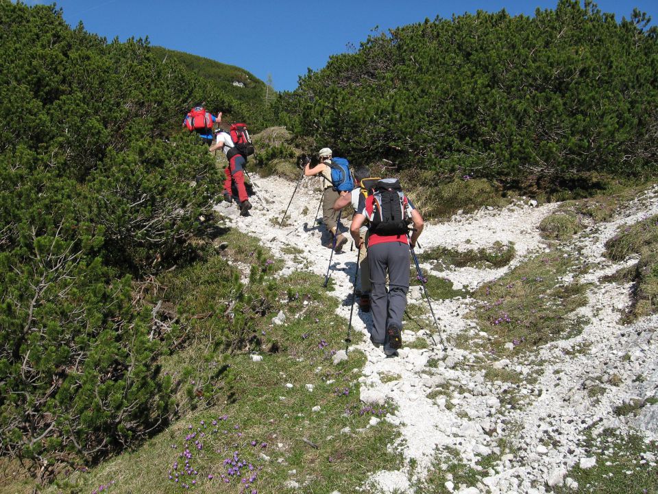 Planina Ravne-Ojstrica-Korošica-6.6.2010 - foto povečava