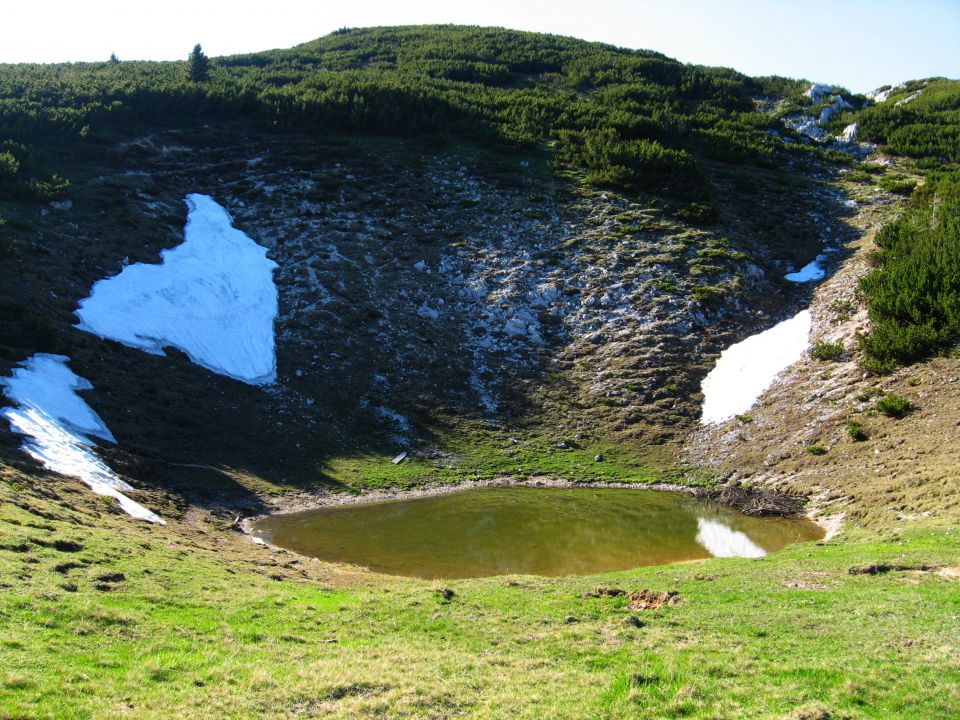 Planina Ravne-Ojstrica-Korošica-6.6.2010 - foto povečava