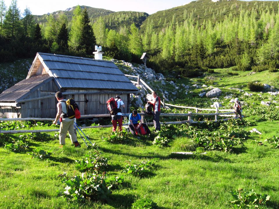 Planina Ravne-Ojstrica-Korošica-6.6.2010 - foto povečava