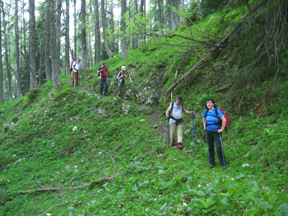 Planina Ravne-Ojstrica-Korošica-6.6.2010 - foto povečava