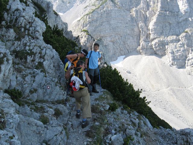 Ljubelj-zelenica-begunjščica-Roblek-12.6.10 - foto